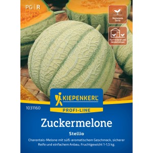 Melone Kiepenkerl Stellio F1-Hybrid con buccia verde chiaro e polpa arancione.