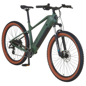 Prophete E-Bike MTB Dice 1.0, verde bronzo opaco, 27,5 pollici. E-mountain bike hardtail con batteria integrata.