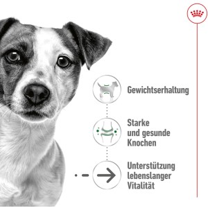 Cane anziano di piccola taglia, logo Royal Canin. Icone per mantenimento peso, ossa forti, vitalità. Cibo secco per cani.