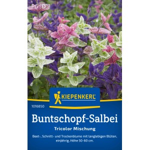 Mix di salvia Kiepenkerl Buntschopf tricolore con fiori rosa, viola e bianchi.