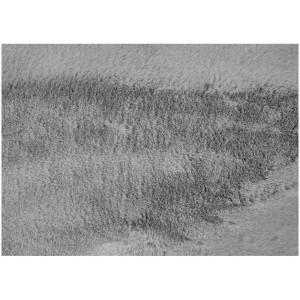 Tappeto grigio Loano, 120x170 cm, con texture morbida e simile a pelliccia. Tappeto moderno per spazi abitativi.