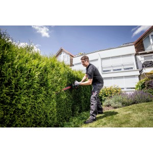 Mann schneidet Hecke mit Metabo Akku-Heckenschere HS 18 LTX 45. Kabellose Gartenarbeit.