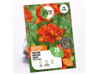 GROW by OBI Freesia pleine Orange / 20 pcs