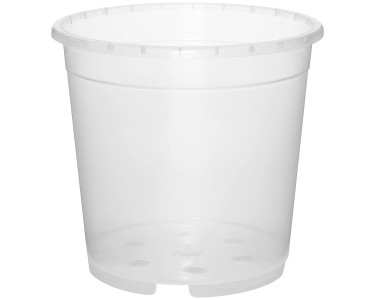 44 igliori vaso per orchidee nel 2023 (recensioni, opinioni, prezzi
