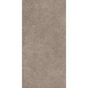 Piastrella in gres porcellanato, smaltata opaca, 60x30 cm, effetto pietra.