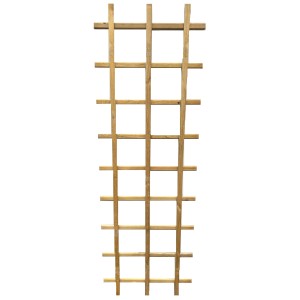 Grigliato senza cornice, impregnato verde, in legno liscio per piante rampicanti in giardino.