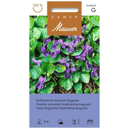 Samen Mauser Violette odorante Impératrice Augusta Bleu pluriannuelle