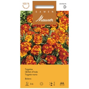 Confezione di semi Tagetes Bolero: calendule screziate color oro intenso per aiuole e balconi.
