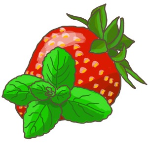 Illustration d'une fraise avec de la menthe fraise (Mentha). Herbes de cuisine pour desserts.