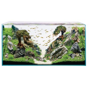 Aquarium Oase Scaperline 100 avec aménagement aquascaping, poissons et décoration.