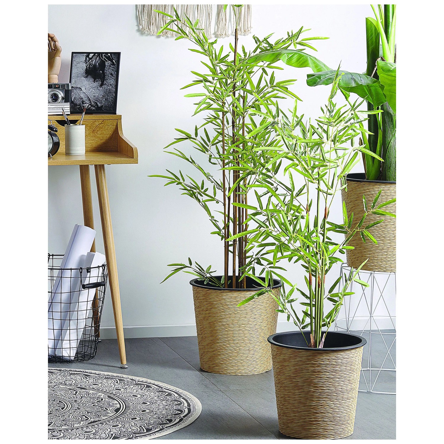 Kunstpflanze Bambusa Vulgaris im Blumentopf  9 cm / Hhe 160 cm