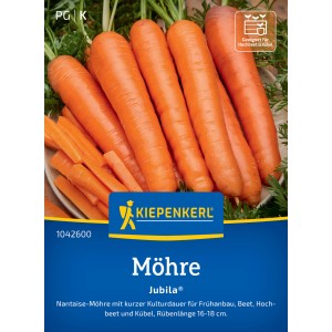 Carotte Kiepenkerl Jubila : Botte de carottes oranges, idéale pour les plates-bandes et les pots.