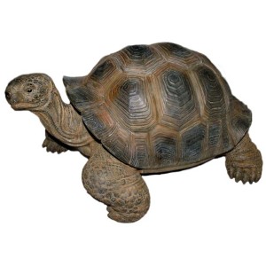 Dunkelbraune Vivid Arts Schildkröte als Gartendeko, Detailreich und lebensecht.