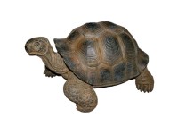 Vivid Arts Schildkröte Dunkelbraun (HxBxT) 17,5 x 30,5 x 23 cm