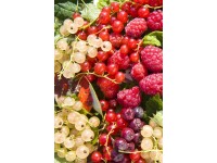 Beerenobst verschiedene Sorten Topf 3 l