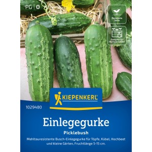 Kiepenkerl cetriolo da sottaceti Picklebush, frutti verde scuro, ideale per vasi e piccoli giardini.