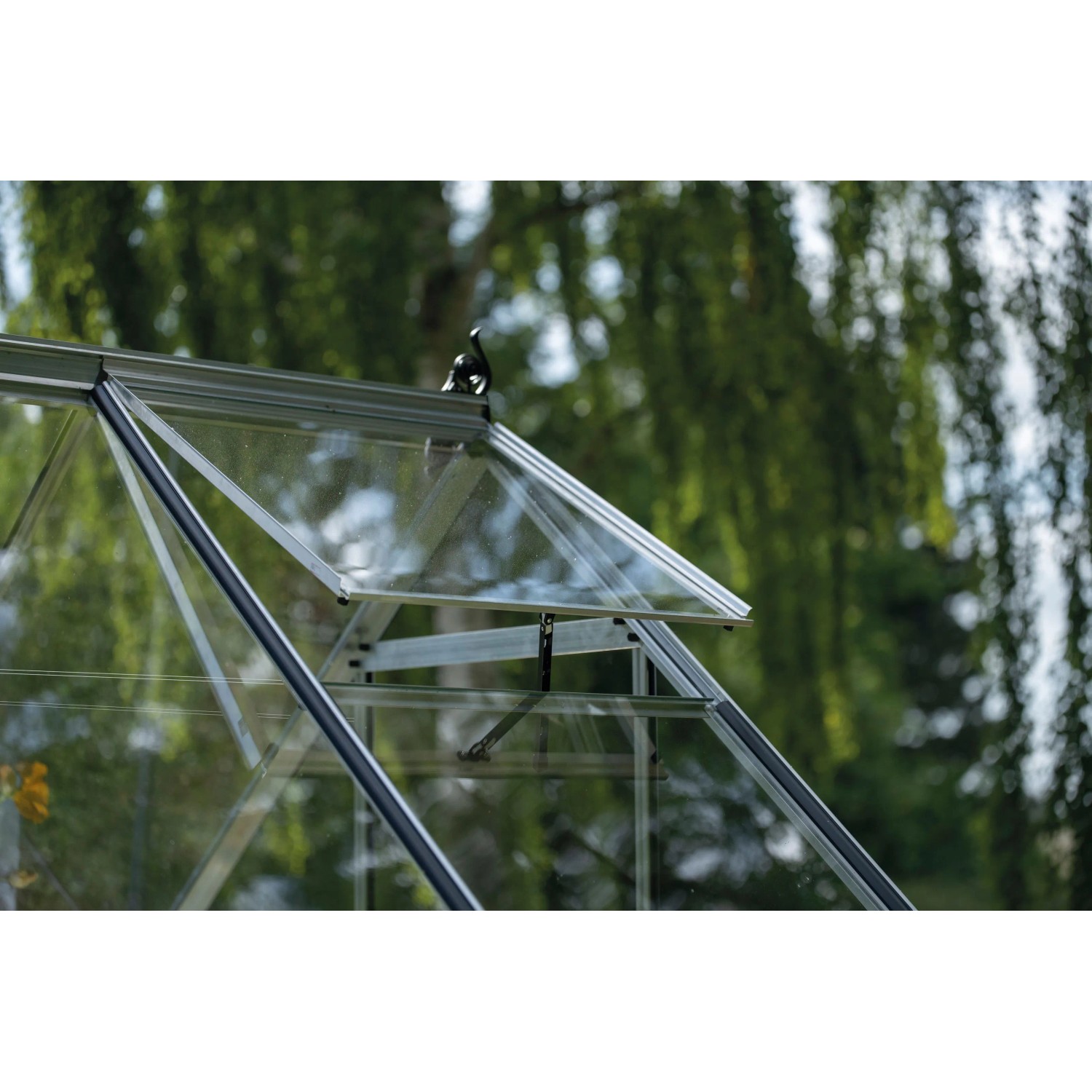 Glasgefss Mit Hals