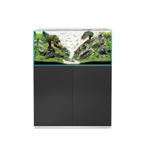 Oase ScaperLine 100 aquarium, 250 l, noir, avec meuble et décoration aquascape.