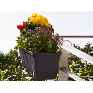 Jardinière avec fleurs dans un support en fil d'acier (160 mm) sur la balustrade du balcon.