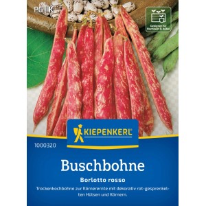 Seme di fagiolino nano Kiepenkerl Borlotto Rosso con baccelli rossi screziati.