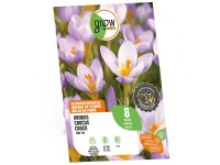 GROW by OBI Krokus Blumenzwiebel Firefly Blau/Gelb 8 Stk.