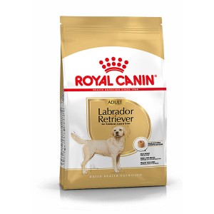 Royal Canin Labrador Adult cibo secco, confezione da 3kg per Labrador Retriever