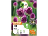 GROW by OBI Zierlauch Blumenzwiebel Sphaerocephalon Purpur 60 cm