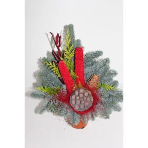 Composition funéraire rouge Nobilis (env. 12 cm) avec sapin, pommes de pin et décor rouge.