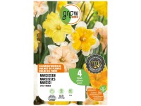 GROW by OBI Narzissen Blumenzwiebel Mischung 40 cm
