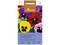 Stiefmütterchen Mauser Riesen Mischung Stiefmütterchen Mauser Riesen Mischung