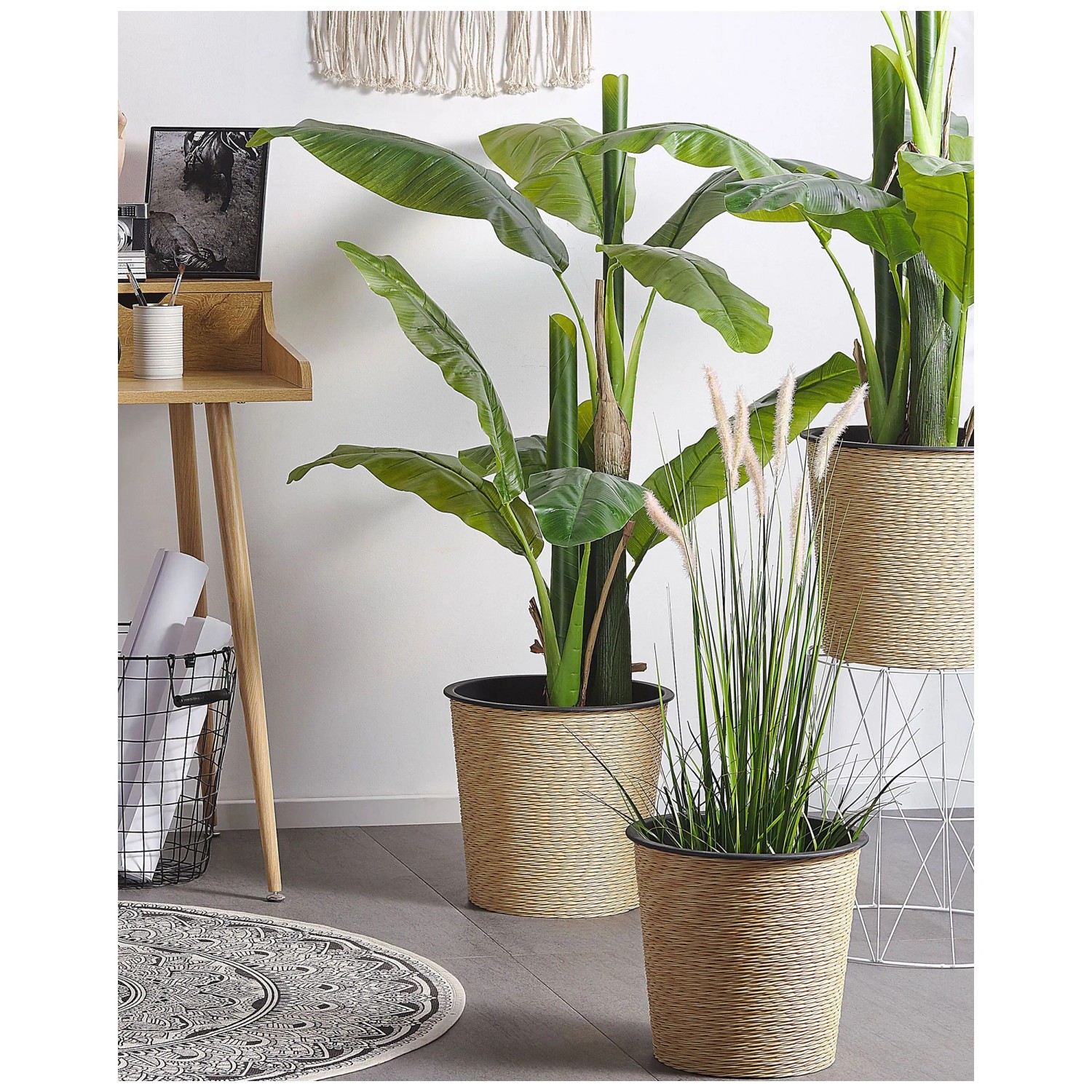 Kunstpflanze Banana Tree im Blumentopf  14 cm / Hhe 154 cm