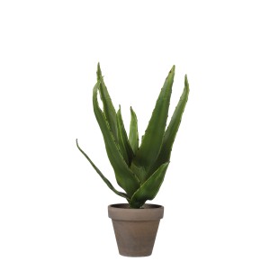 Pianta artificiale di Aloe Vera verde in vaso Stan, alta 30 cm. Pianta decorativa per interni per OBI.