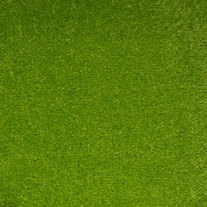 Gros plan : Moquette Denver vert clair, vendue au mètre, largeur 400 cm.