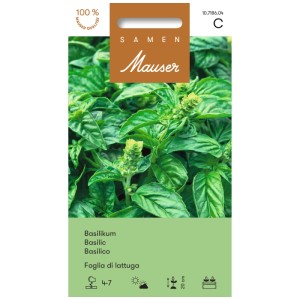 Sachet de graines de basilic 'Foglia di lattuga' aux feuilles vert clair et frisées.