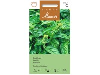 Basilikum Foglia di lattuga