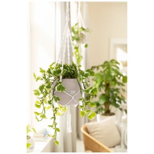 Lechuza Macramè porta piante Cotton Boho Naturale, 120 cm, con pianta in vaso grigio.