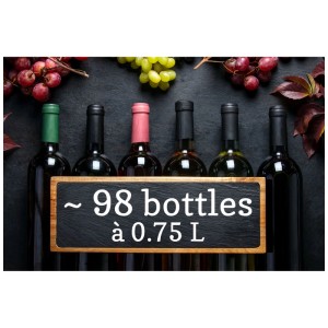 Cave à vin Trisa Dual Zone : Casier à vin avec 98 bouteilles et raisins.
