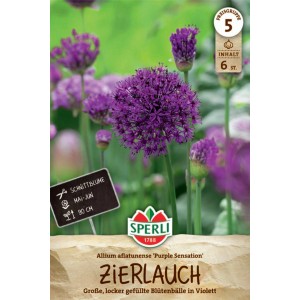Sperli Zierlauch 'Purple Sensation' Blumenzwiebel mit violetten Blütenbällen.