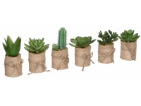 Mica Decorations Kunstpflanze Sukkulente Topf Ø 5 cm / Höhe 12 cm / 1 Stk.