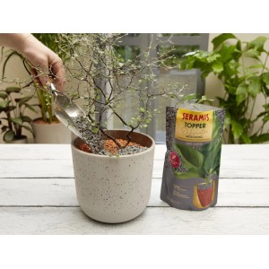 Seramis Topper Graphite 1 l: Ghiaia decorativa grigia versata in un vaso con pianta.