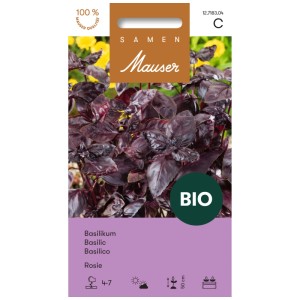 Graines de basilic Rosie bio : Feuilles rouge foncé, idéal pour pots et balcons.