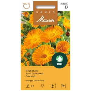 Graines de fleurs bio : Souci orange, plante ornementale et médicinale éclatante pour jardin et balcon.