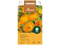 Knospe Bio Ringelblume Orange Knospe Bio Ringelblume Orange