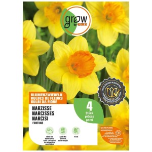 GROW by OBI Narzisse Fortune Blumenzwiebeln, 4 Stk. Gelbe Narzissen mit orangefarbener Krone auf Packung.