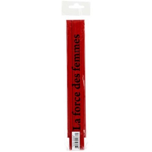 Rot lackierter Gliedermassstab 2 m mit Aufschrift, zusammengefaltet im transparenten Pack.