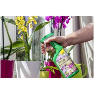 Applicazione di Neudorff Biokraft Vitalkur per orchidee da un flacone spray per il rafforzamento delle piante.