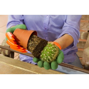 Persona che rinvasa un cactus con guanti da giardinaggio Yard Hands.
