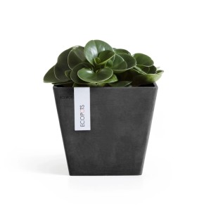 Pot de fleurs Ecopots Rotterdam, gris foncé, 20 cm, avec plante verte.