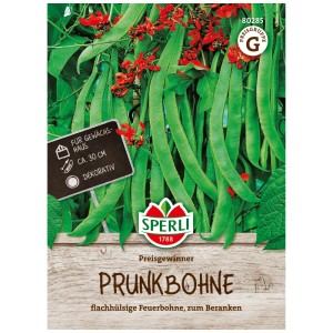 Sperli Fagiolo rampicante Preisgewinner: Confezione di semi con fiori rossi e fagioli verdi.