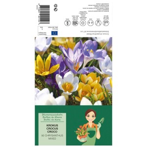 Krokus-Mischung: Blumenzwiebeln in Gelb, Lila, Weiß. Frühlingsblüher für Garten & Beet.